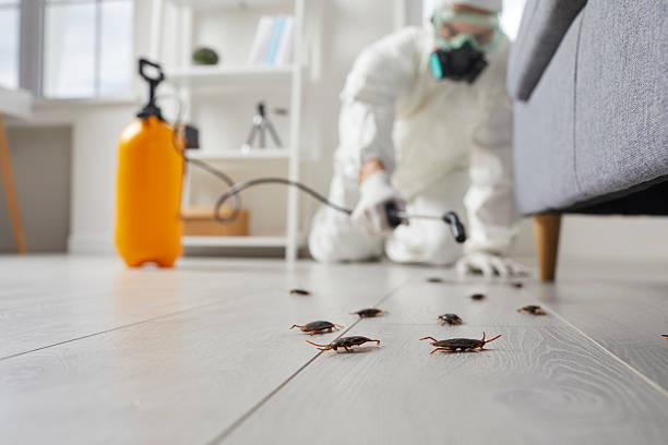 Trusted Fumigation Services service in Oak Lawn, IL - Nex Pest Control