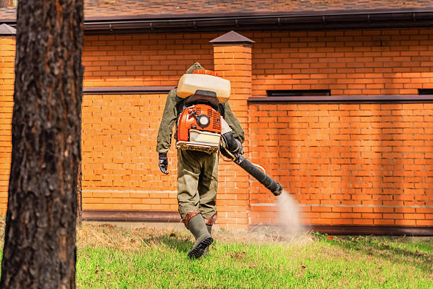 Trusted Termite Control service in Oak Lawn, IL - Nex Pest Control